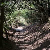 Photo de France - La randonnée du lac des Olivettes